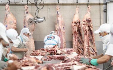 Marilú Damiano: trazabilidad, sustentabilidad y tecnología para transformar la cadena de la carne